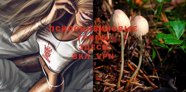 твердый Костерёво
